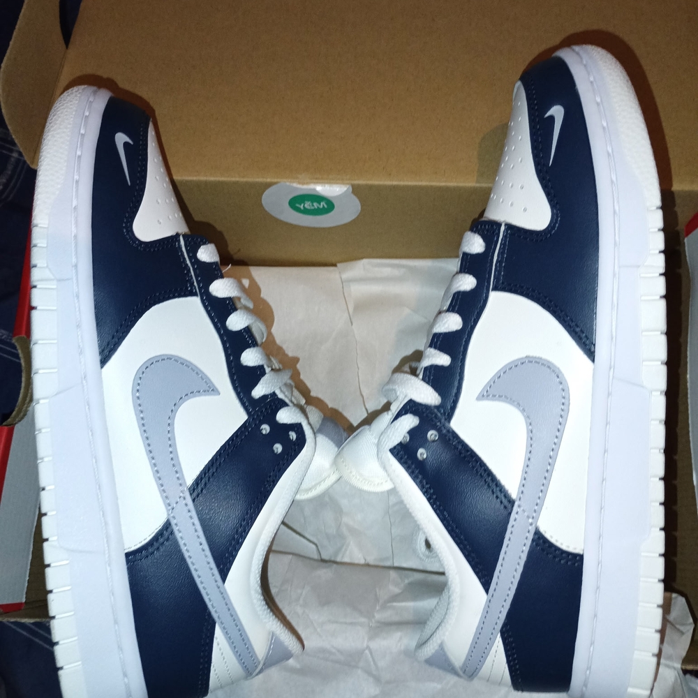 Nike Dunk Low